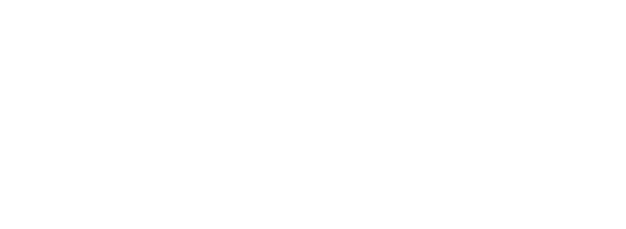 Businessmuotoilu logo